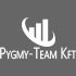 Pygmy-Team Kft.